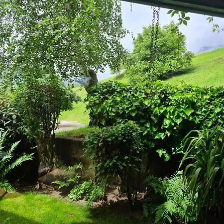 Apartment Over View *
