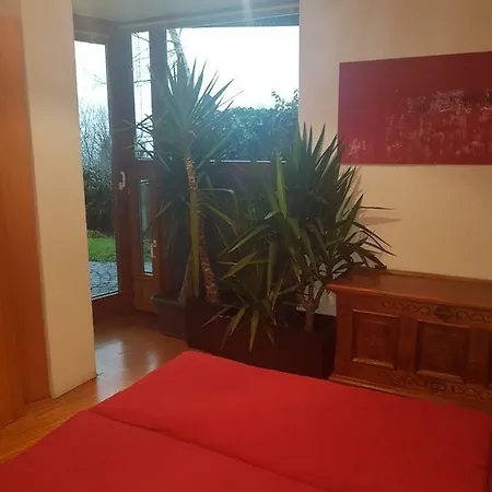 Apartment Over View